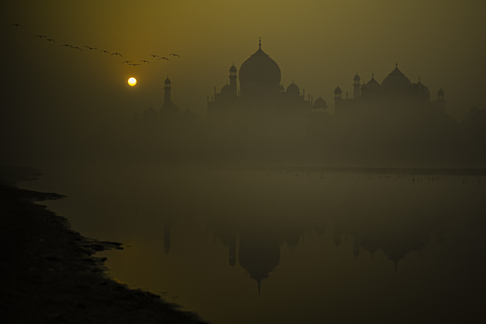 Platz 3 Michael Mayer